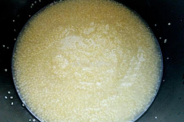 小米稀饭熬的做法图解4
