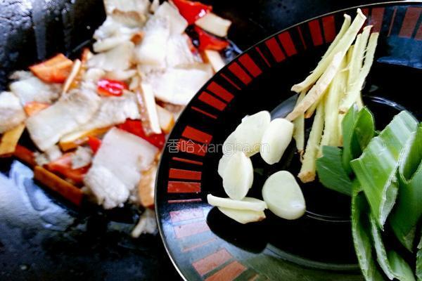 圆白菜回锅肉的做法图解10