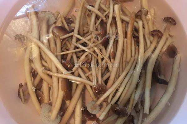 茶树菇炒蛋的做法图解8