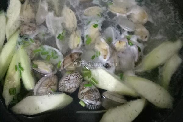 花甲丝瓜汤的做法图解7