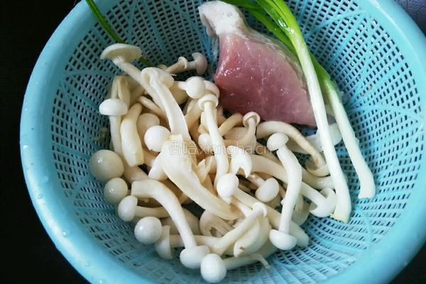 鲜菇豆腐汤的做法图解1