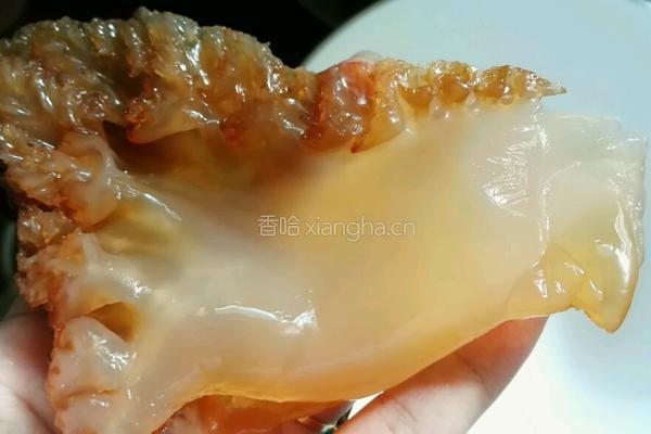 凉拌海蛰丝的做法图解2