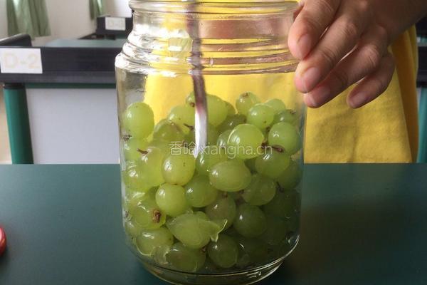 酿葡萄酒的做法图解4