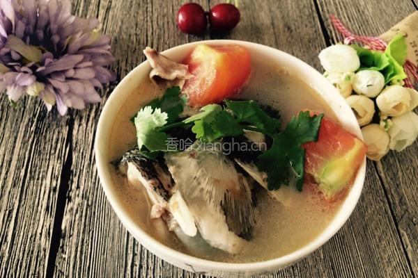 鱼头番茄汤的做法图解13
