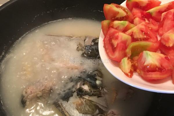 鱼头番茄汤的做法图解11