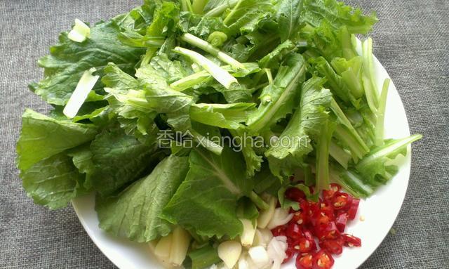 小白菜切成寸段