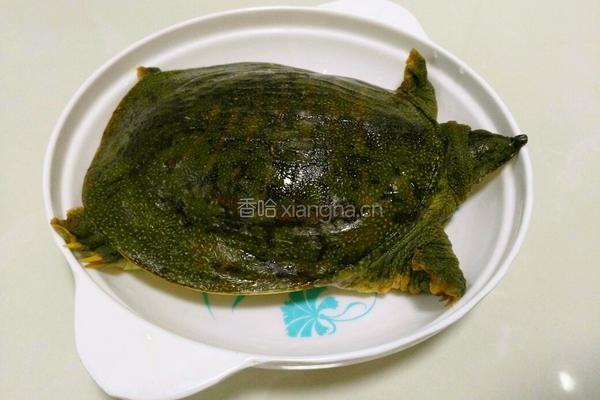 甲鱼烧排骨的做法图解1