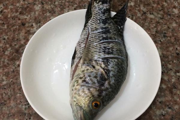 烧石斑鱼的做法图解2