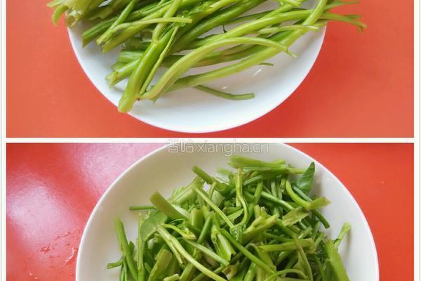 豆豉空心菜梗的做法图解2