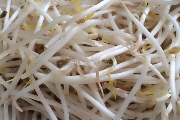 醋溜豆芽的做法图解1