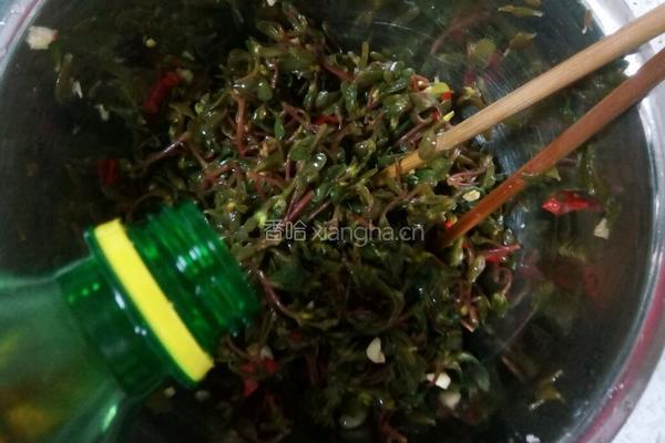凉拌马齿菜的做法图解12