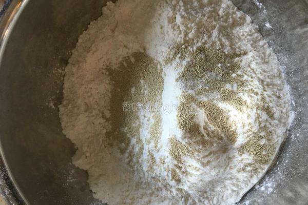 黑豆浆紫甘蓝肉龙的做法图解3