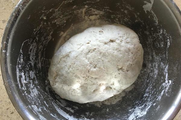 黑豆浆紫甘蓝肉龙的做法图解6
