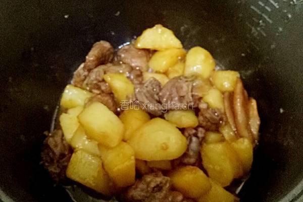 土豆炆鸭的做法图解10