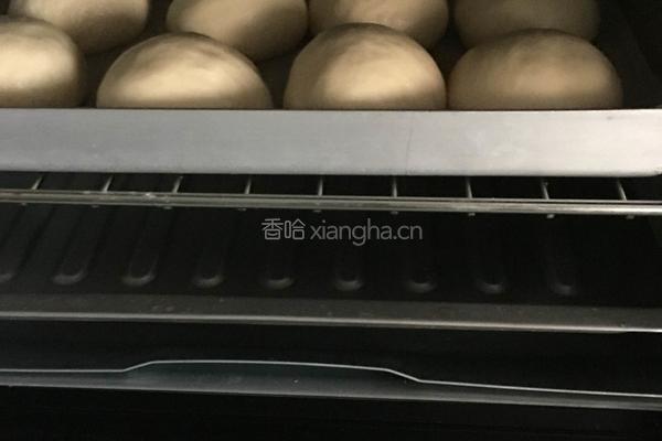 淡奶油椰蓉餐包（一次发酵法）的做法图解9