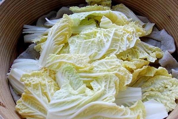 油泼白菜的做法图解3