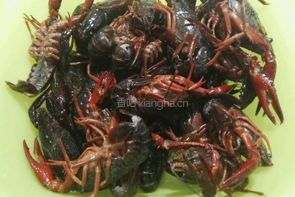 清蒸大龙虾的做法图解1