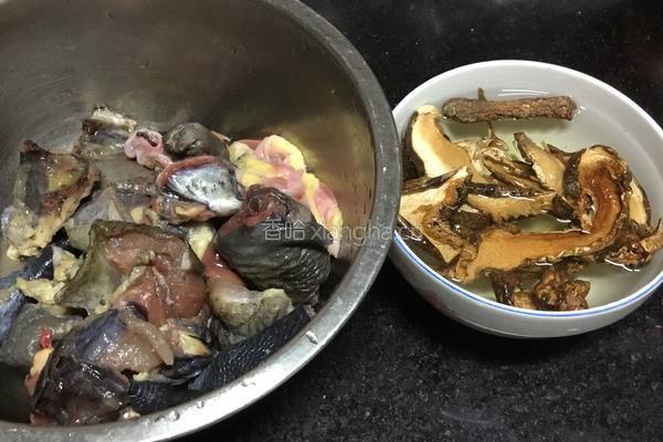 松茸鸡汤的做法图解1