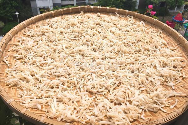 自制干萝卜丝的做法图解4