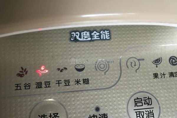 黄豆浆的做法图解6