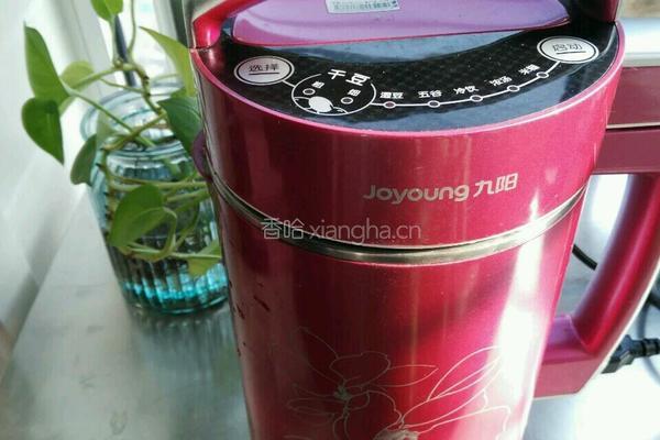 苹果豆浆的做法图解4