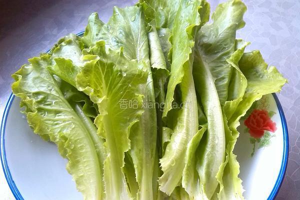 生菜牛肉芥麦面的做法图解2