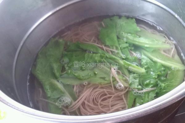 生菜牛肉芥麦面的做法图解6