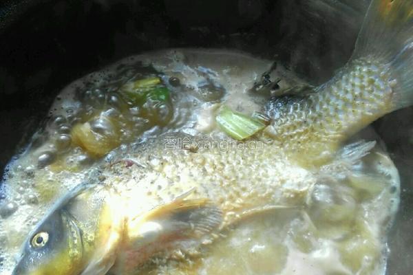鲤鱼醉酒的做法图解5