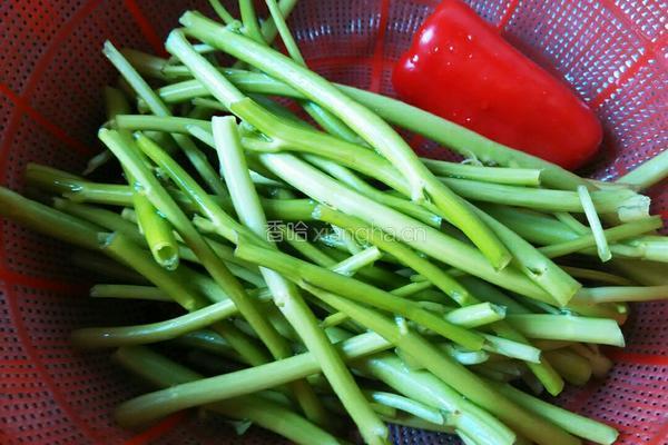 炒空心菜梗的做法图解1