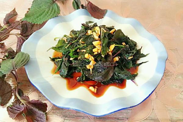 苏子叶咸菜的做法图解6