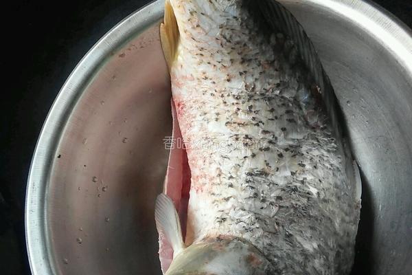 鲤鱼醉酒的做法图解1