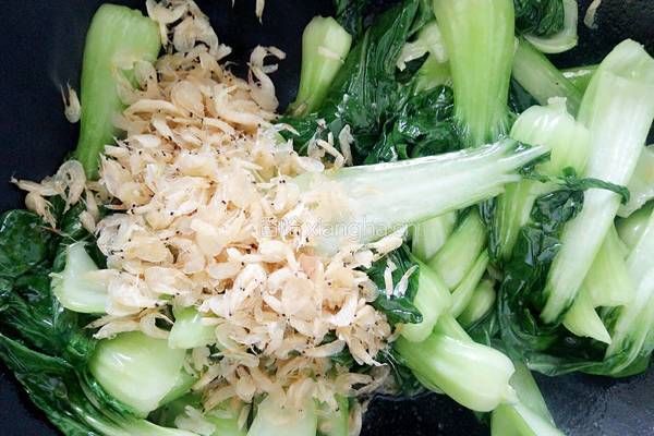 虾米油菜的做法图解8