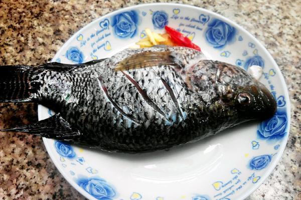 农家炖鱼的做法图解1