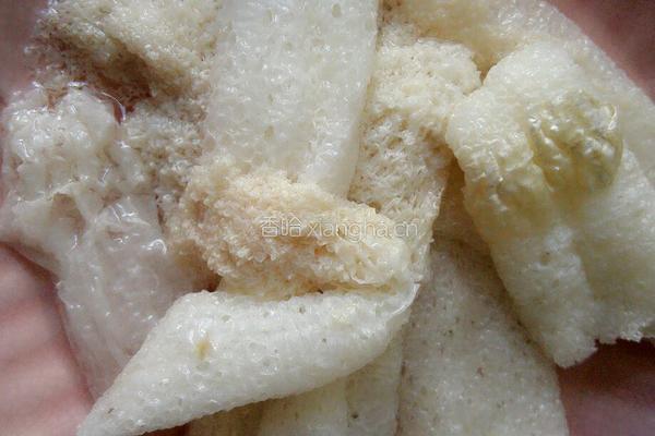 冬瓜竹荪鲜肉汤的做法图解1