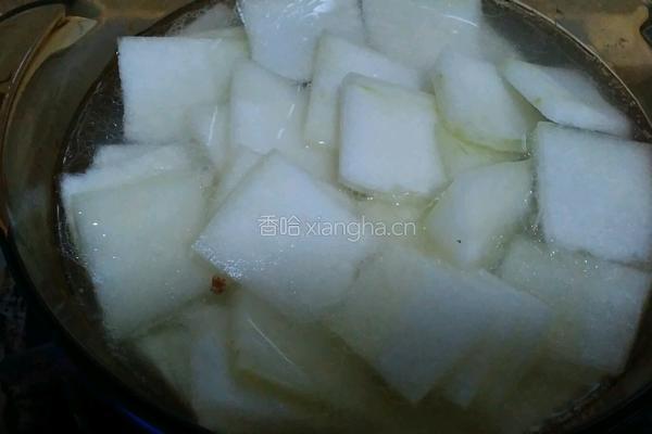 鸭肉炖冬瓜汤的做法图解8