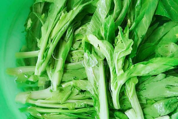 蒜香菜心的做法图解1
