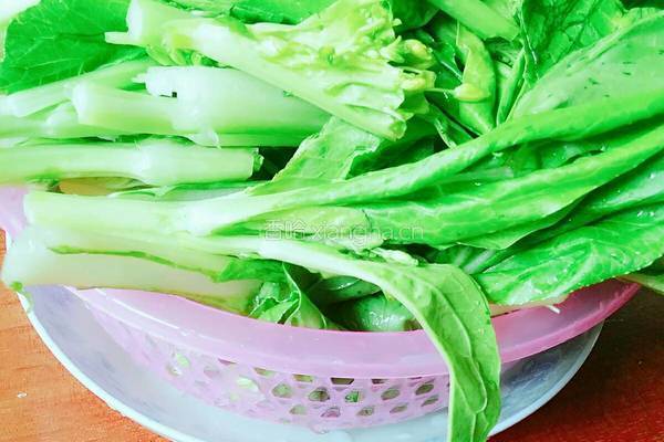蒜香菜心的做法图解2