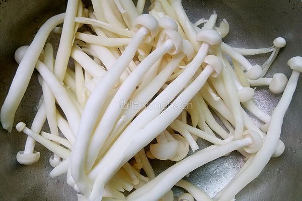 鱼头汤的做法图解5