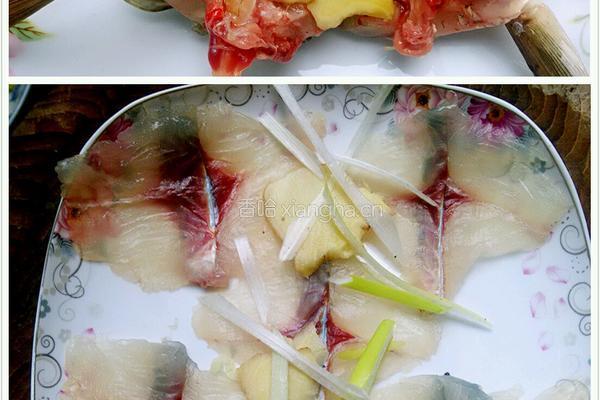 酸汤鱼片的做法图解5