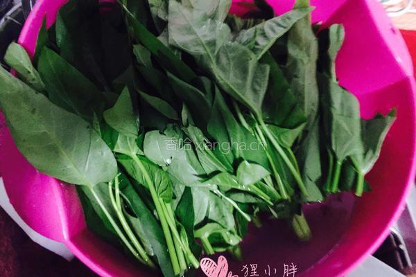 豉油空心菜的做法图解1
