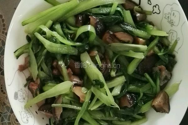 青菜香菇