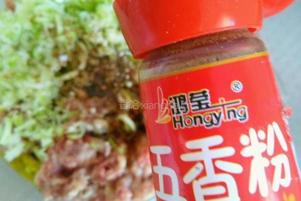 驴肉包子的做法图解9