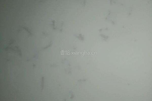 乌龙奶茶的做法图解4