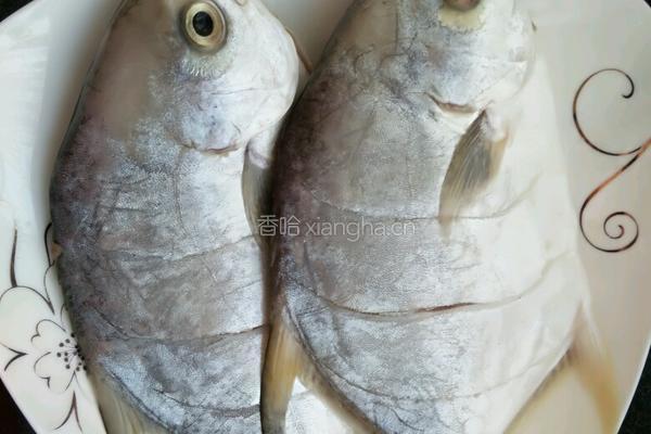 番茄鲳鱼的做法图解2