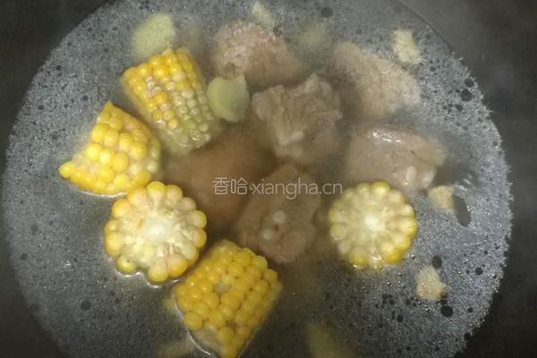 排骨玉米汤的做法图解4