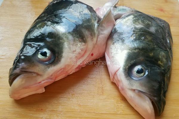 鲢鱼头豆腐汤的做法图解1