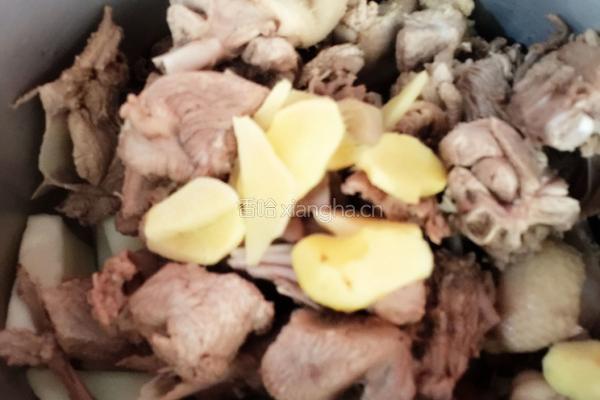 鲜美竹笋鸭肉煲的做法图解8