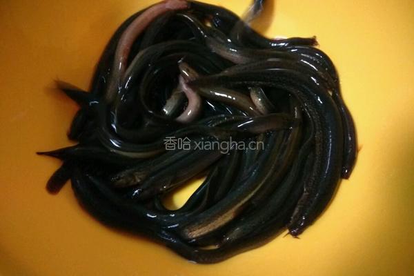 泥鳅豆腐的做法图解1