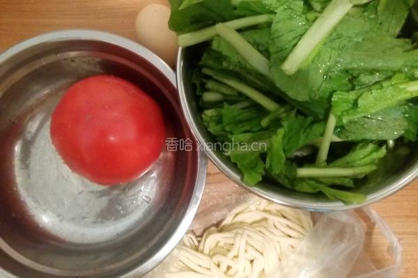 西红柿鸡蛋盖浇面的做法图解1