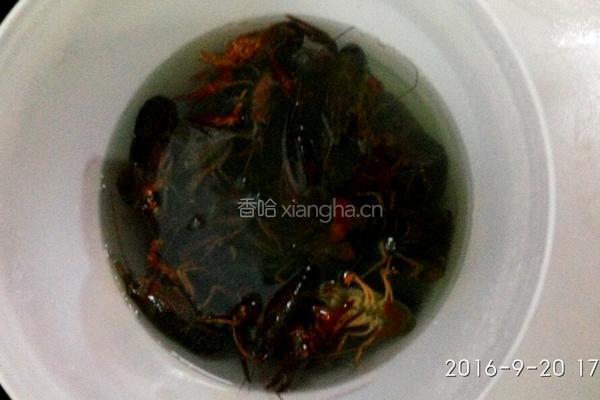 海鲜大咖的做法图解2